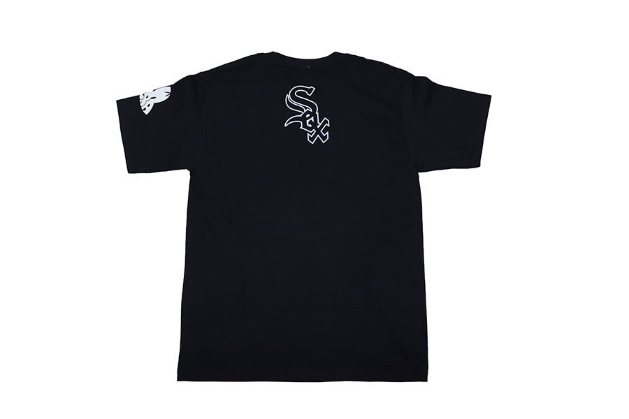 CHICAGO WHITE SOX COLORS NE