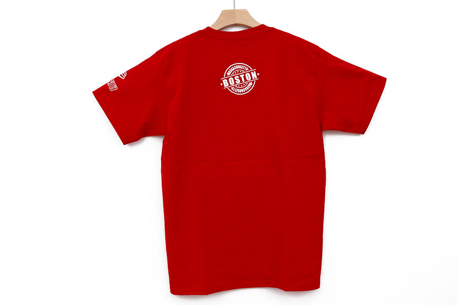 BOSTON RED SOX MULTILOGO