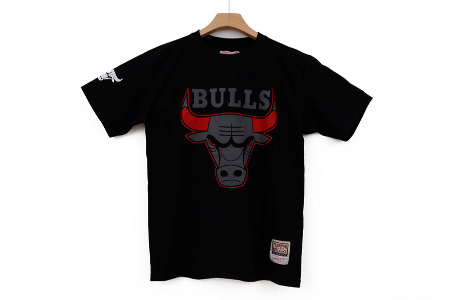 CHICAGO BULLS THE DARK SIDE OF THE BULL