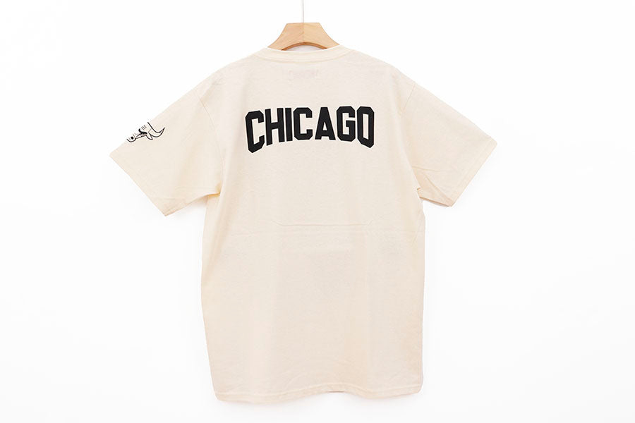 Chicago Bul eastern conference beige