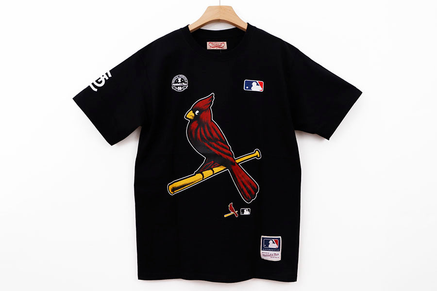ST LOUIS CARDINALS THE BIG BIRD