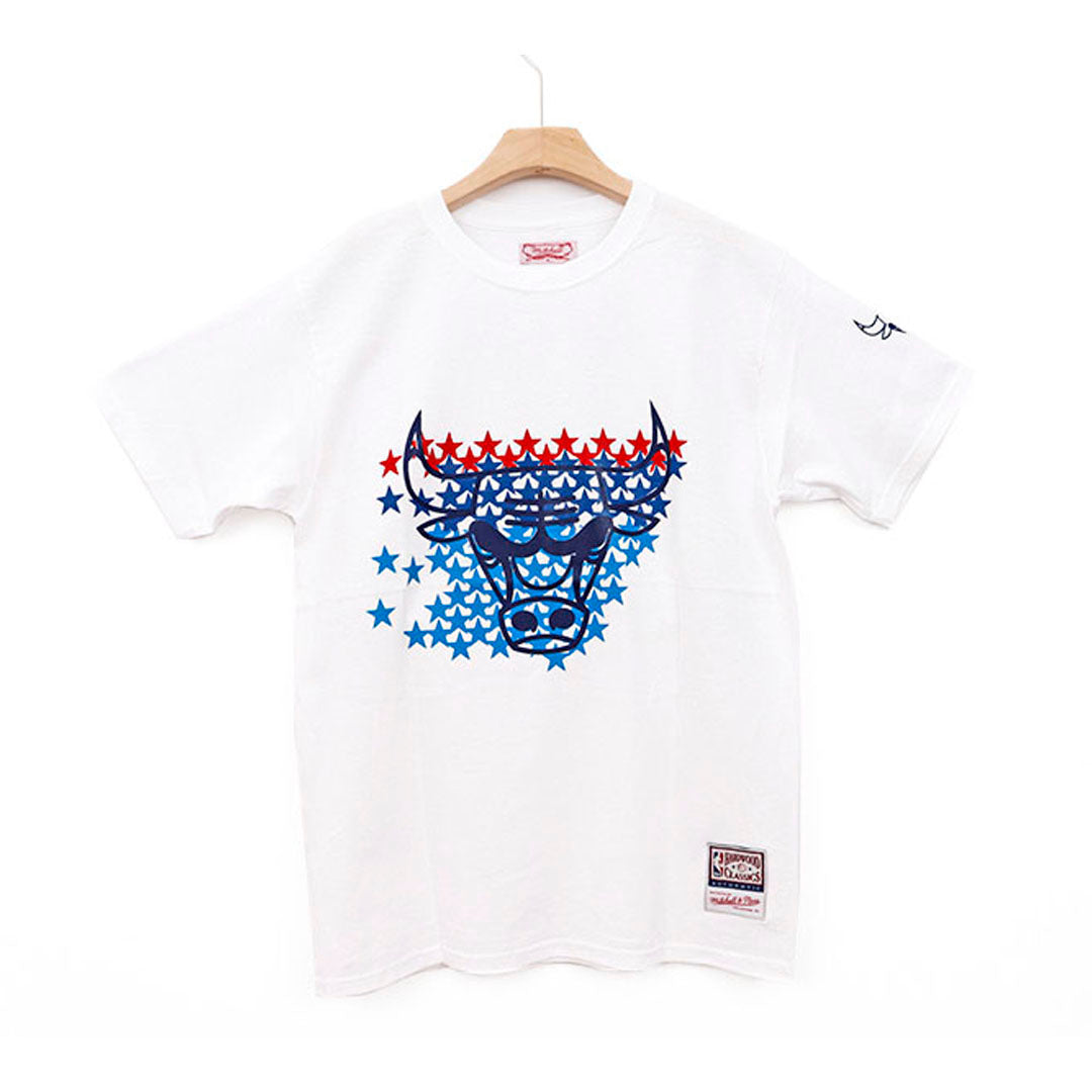 CHICAGO BULLS AMERICAN STARS