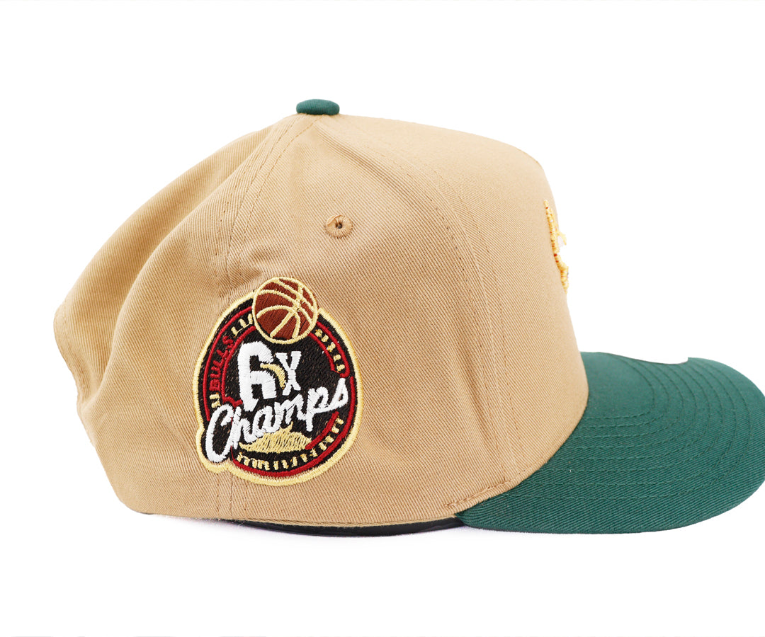 CHICAGO BULLS BEIGE ONE JOHNNI CAP