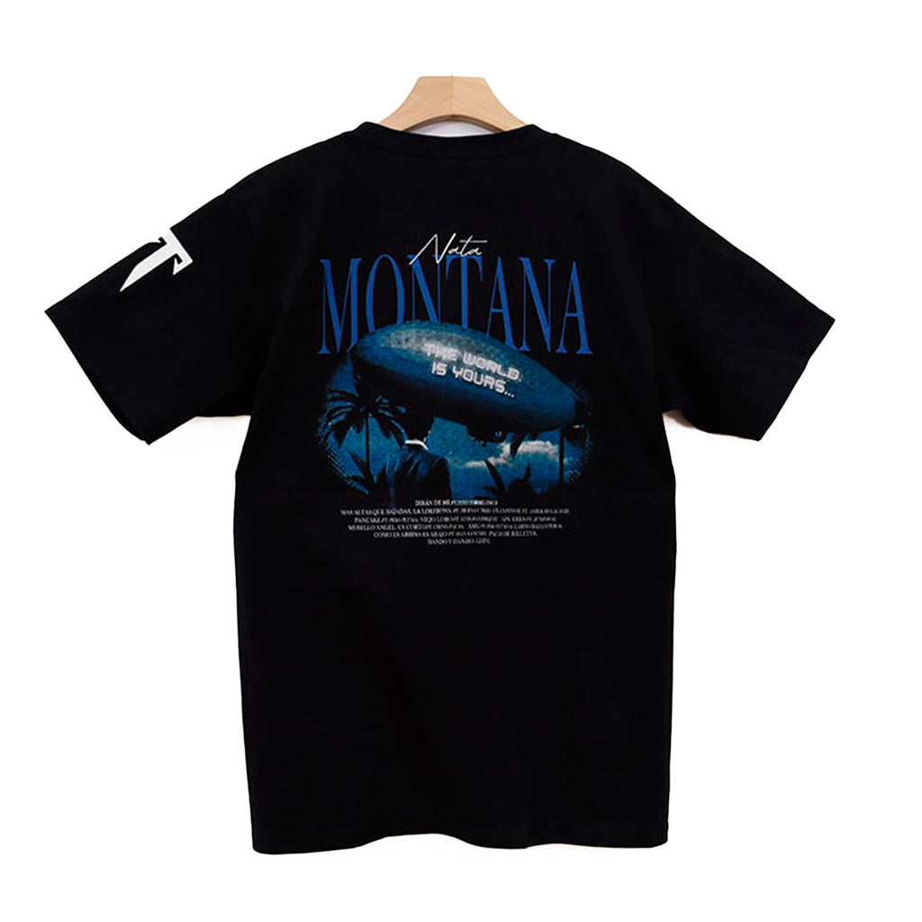NATA MONTANA THE WORLD IS YOURS
