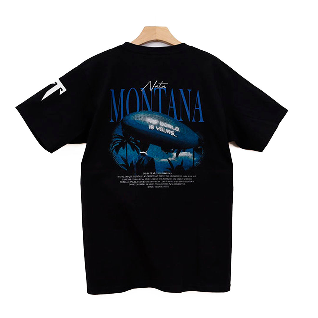 NATA MONTANA THE WORLD IS YOURS