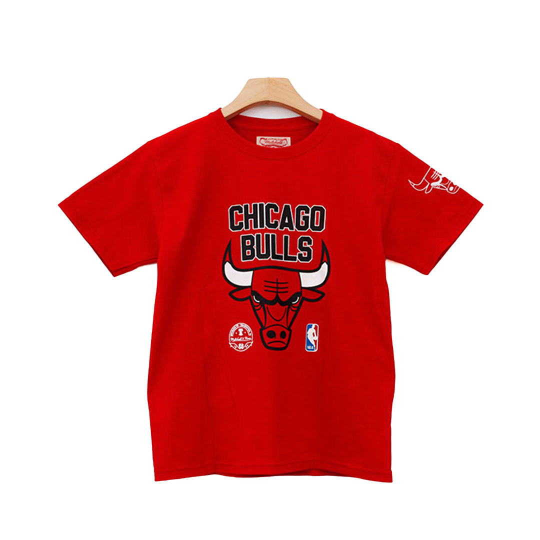 CHICAGO BULLS LOGO JUVENIL Y BEBE