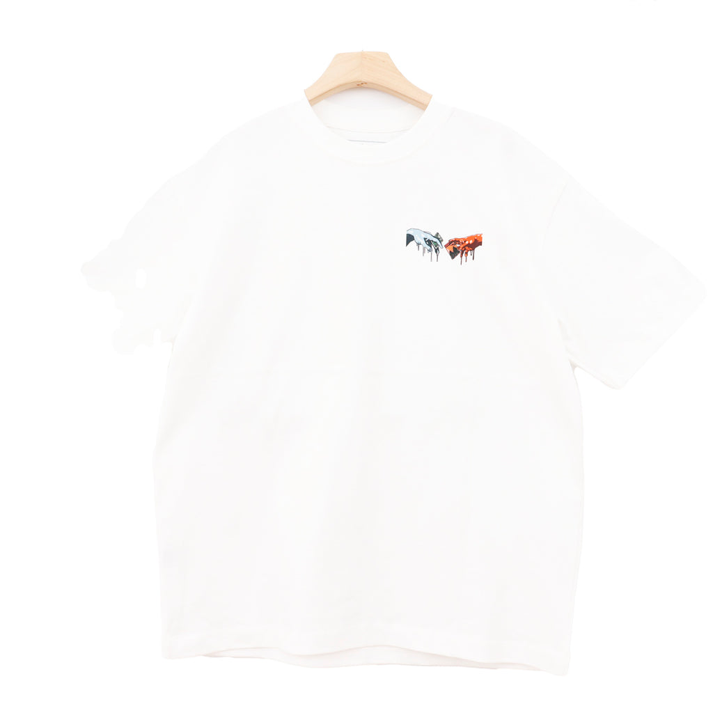 CREATION IN MOTION COLORFUL OVERSIZE