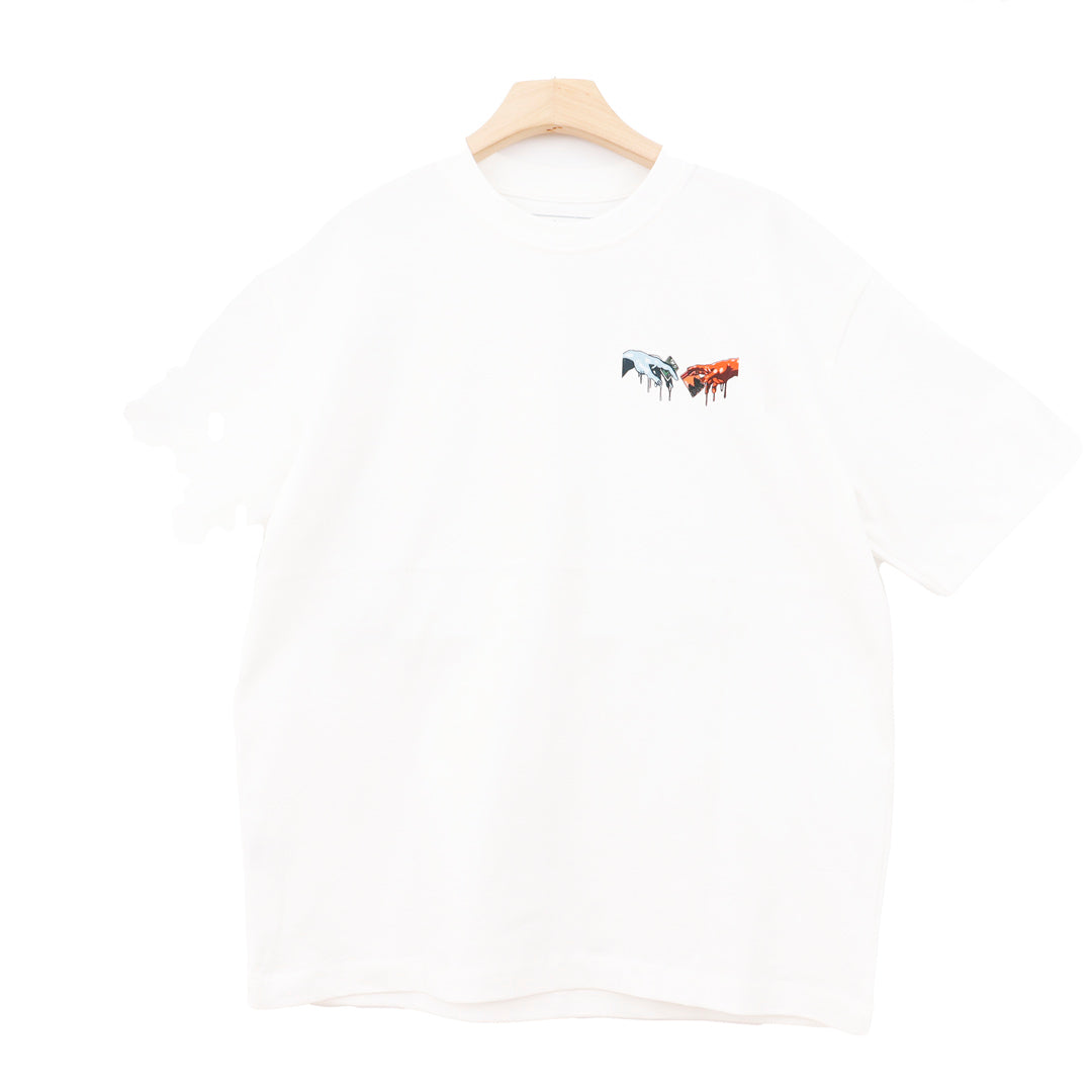 CREATION IN MOTION COLORFUL OVERSIZE