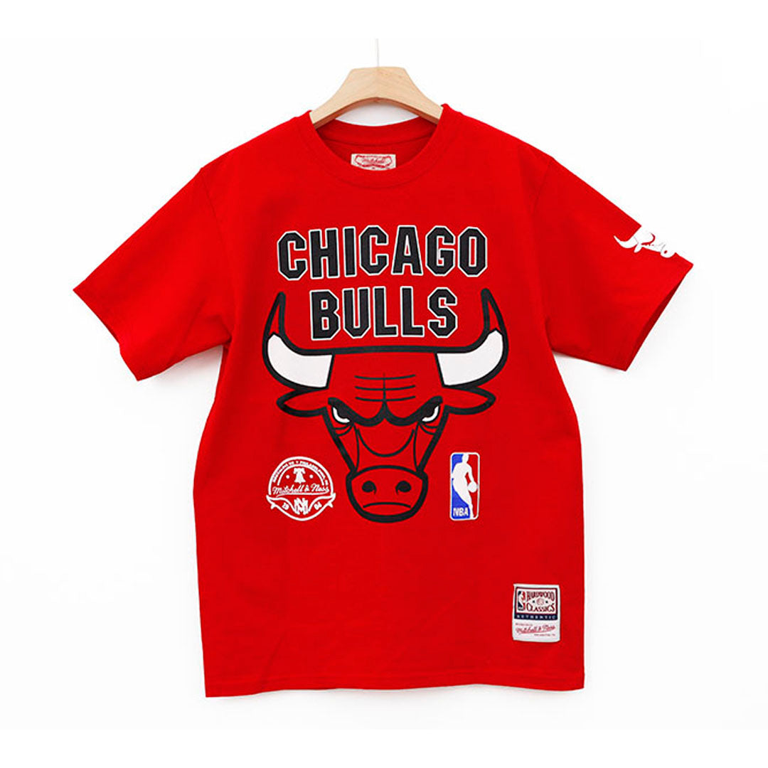 CHICAGO BULLS