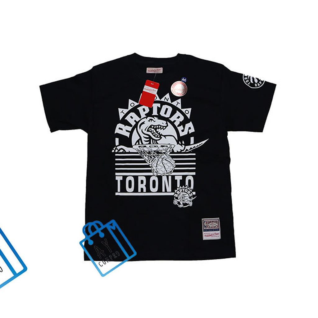 TORONTO RAPTORS IN THE BASKET