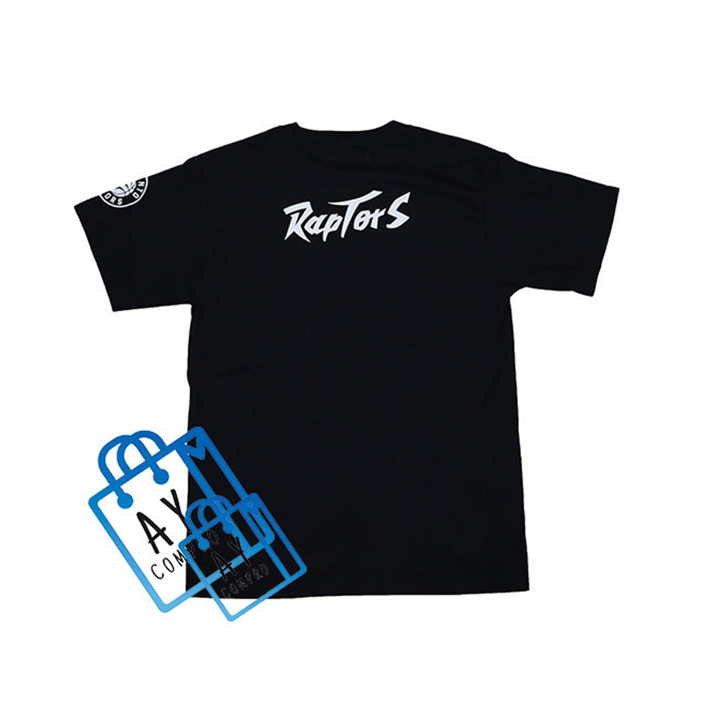 TORONTO RAPTORS IN THE BASKET