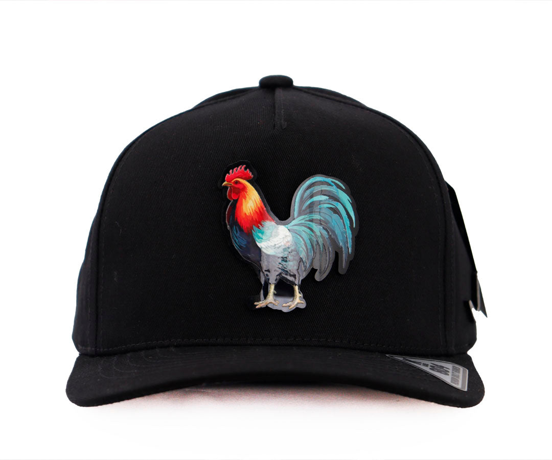 GALLO COLORIDO DR BLACK KAMEL