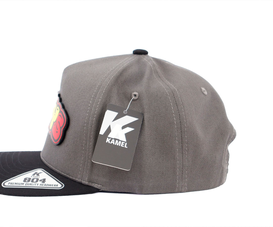 LOSTOYS GREY KAMEL PLACA