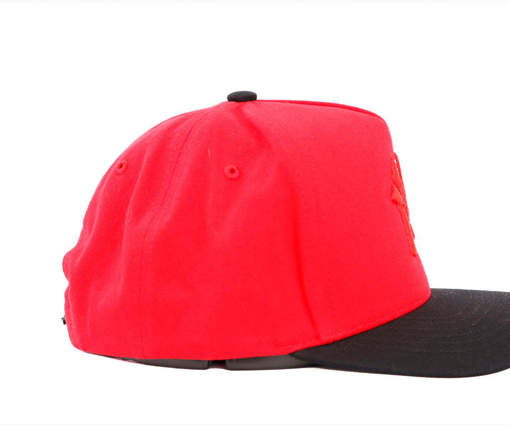 NY LA OVER ONE RED AND BLACK VICERA KAMEL