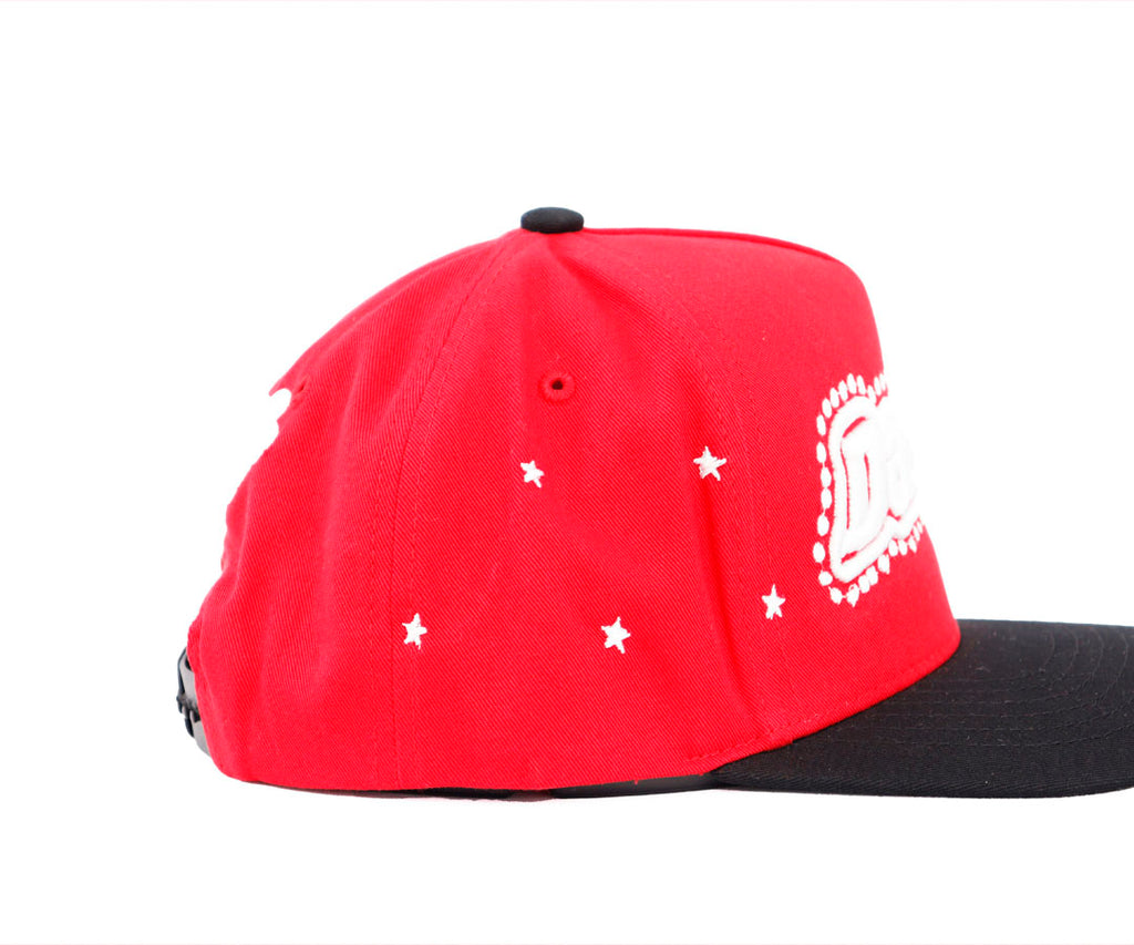 DANDY STARS BACK OVER RED AND VICERA BLACK KAMEL