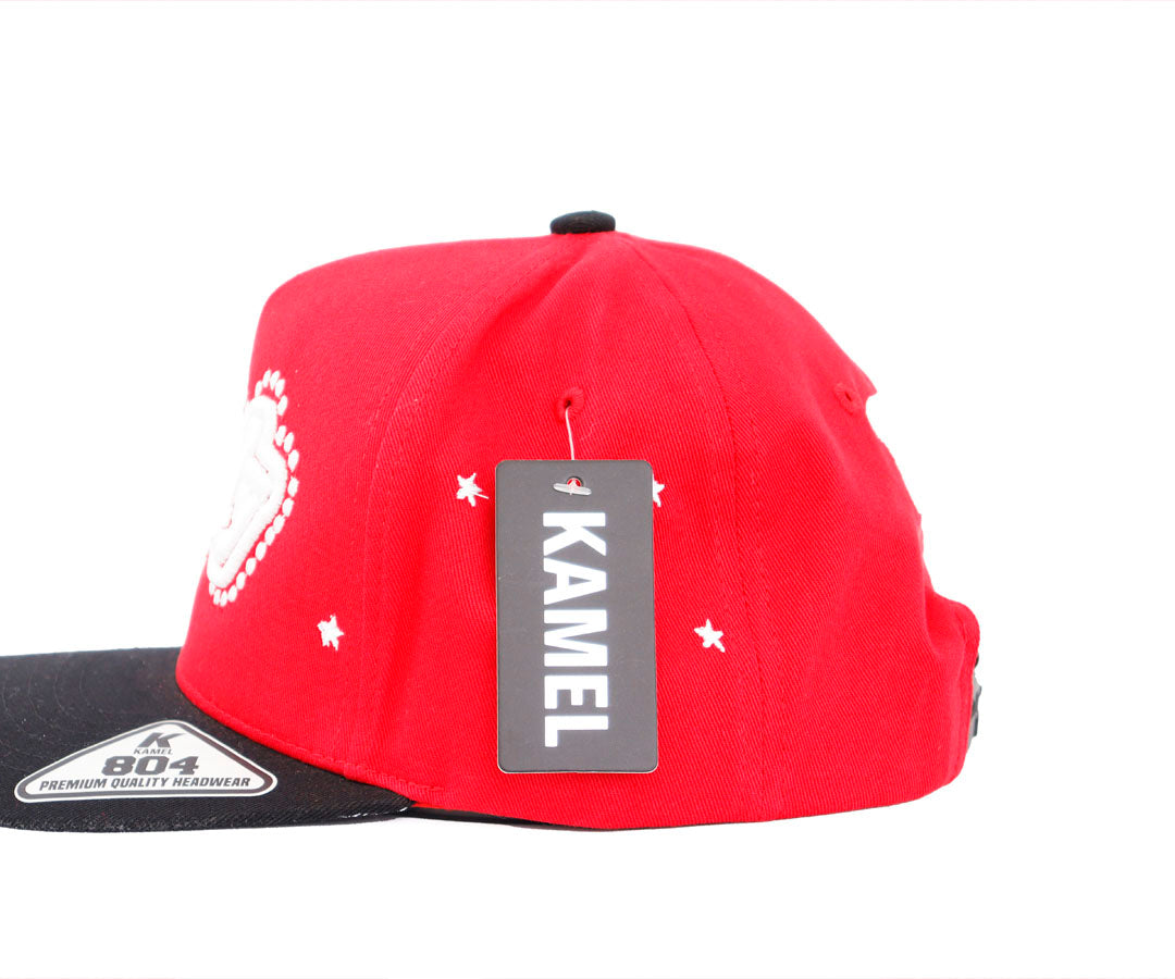 DANDY STARS BACK OVER RED AND VICERA BLACK KAMEL