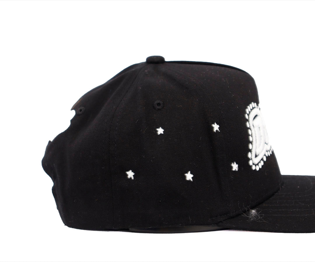 DANDY STARS BACK OVER TOTAL BLACK KAMEL