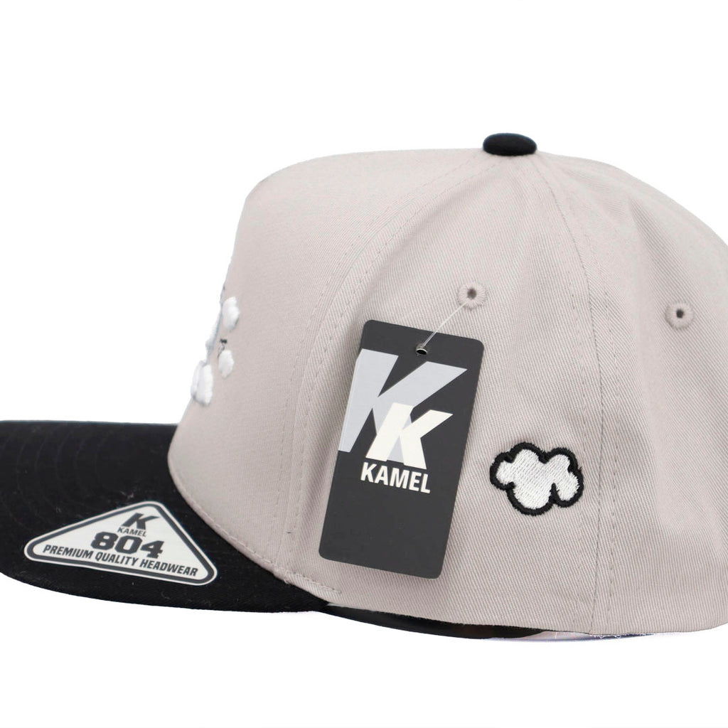 LA CLOUDS AND MONEY GRAY AND BLACK VICERA KAMEL