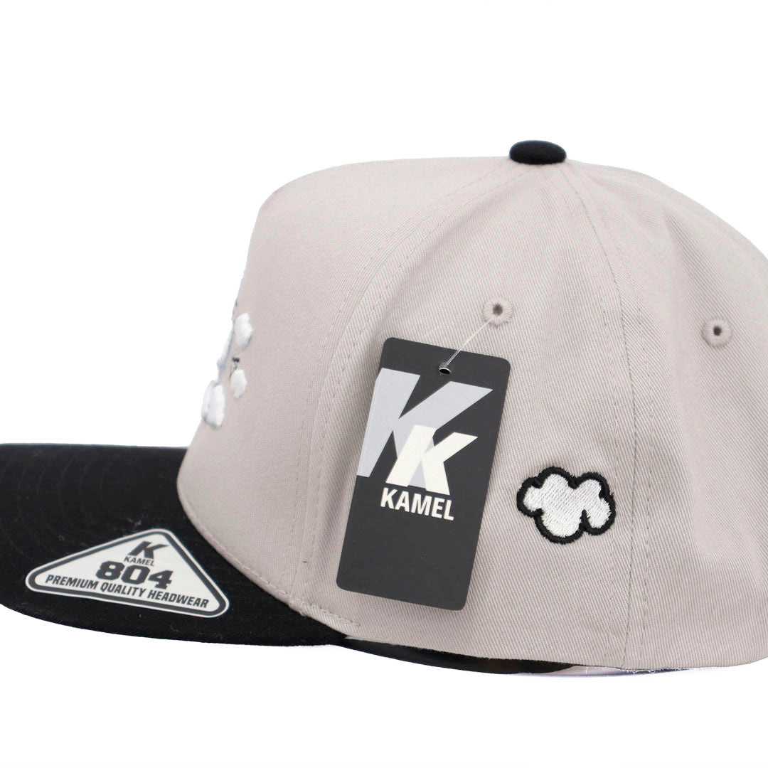 LA CLOUDS AND MONEY GRAY AND BLACK VICERA KAMEL