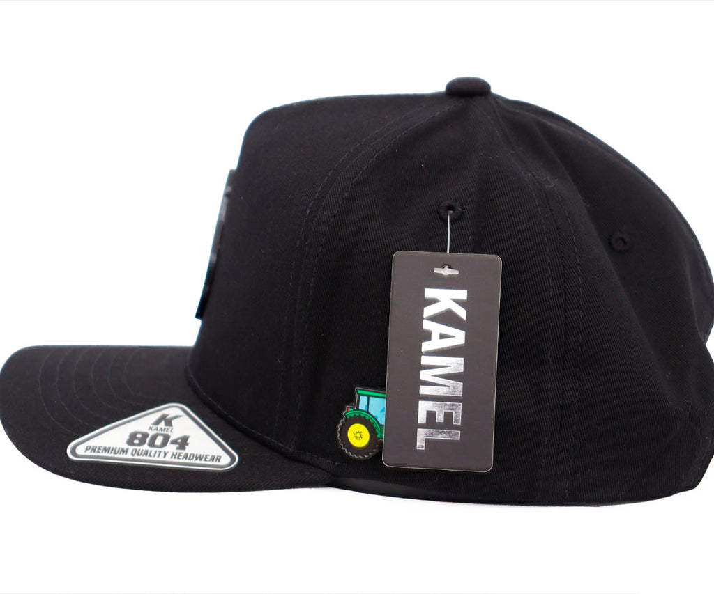 EL AGUACATE COLOR PLACA KAMEL