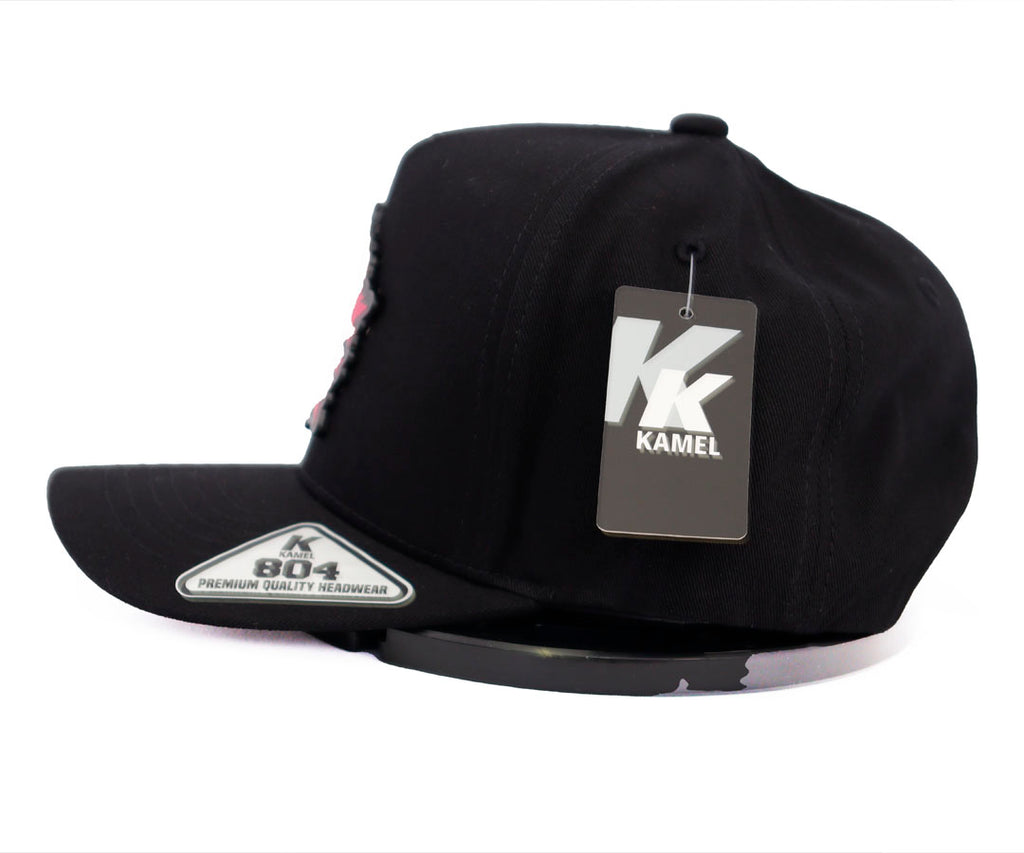 JUNIOR H ESTRELLA DANDY PLACA KAMEL