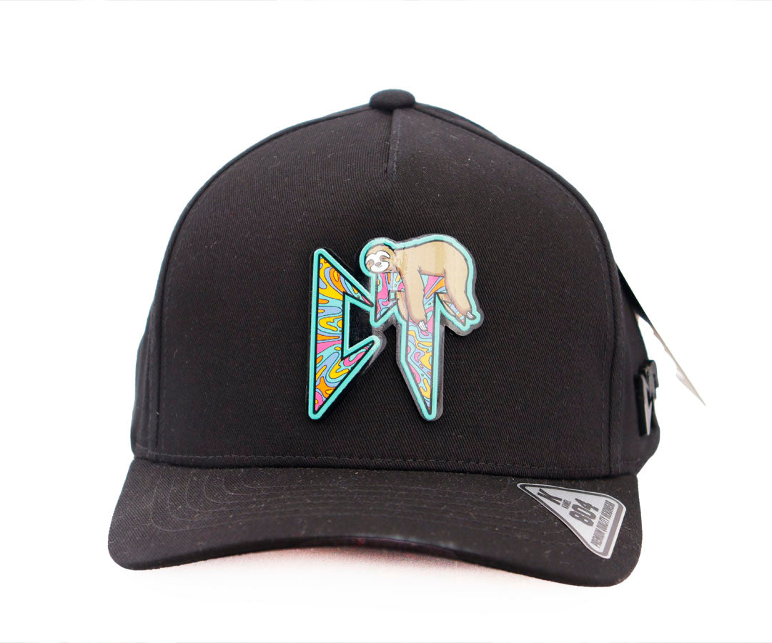 CT COLORIDO GORRA NEGRA PLACA KAMEL