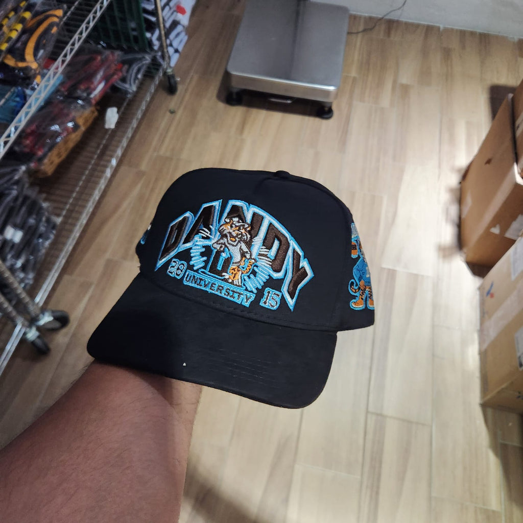 DANDY HATS UNIVERSITY 2015 G5